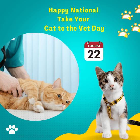 National Take Your Cat to the Vet Day (Aug 22) Wishes - Importance, Benefits, Activities