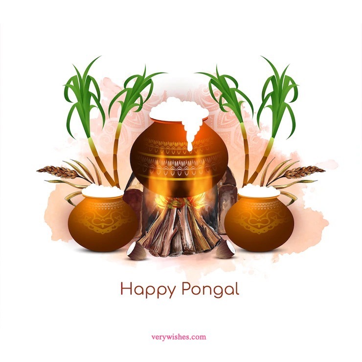 Happy Pongal Wishes in Tamil Words 2024