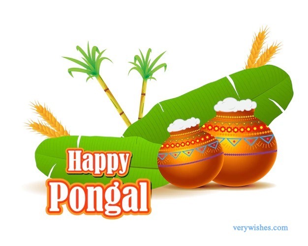 Pongal Wishes for Agricultural Partners